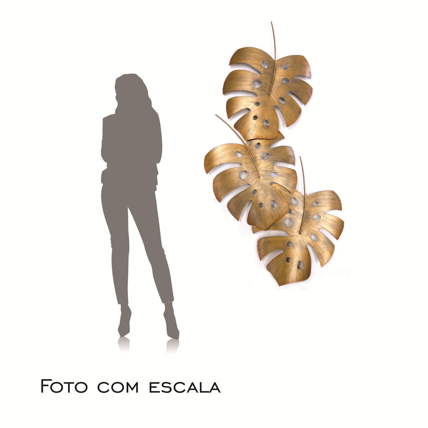 Costela de Adão