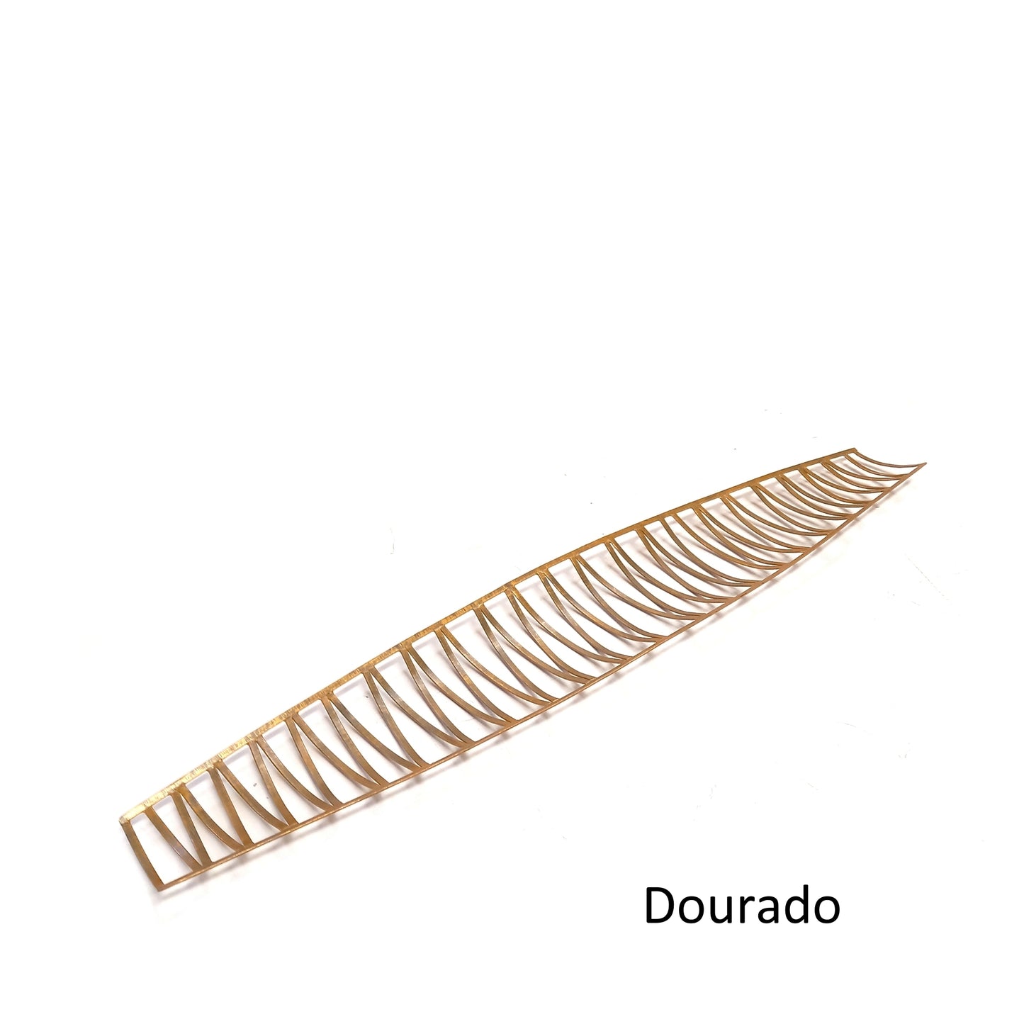 Fruteira Amazonas